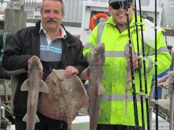 6 lb Smooth-hound by Paul and Shannon