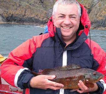 3 lb 6 oz Ballan Wrasse by kenny