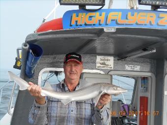 5 lb Starry Smooth-hound by Chris Merrison