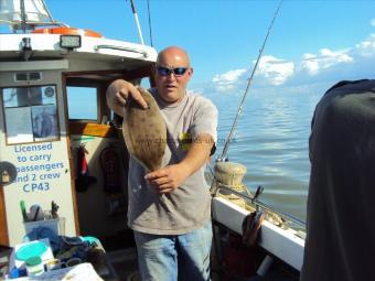 1 lb 3 oz Sole (Common) by BAZ