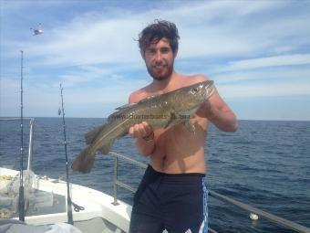 6 lb 10 oz Cod by josh