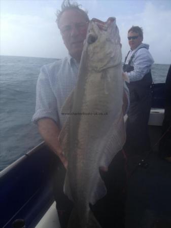 20 lb 8 oz Pollock by Unknown