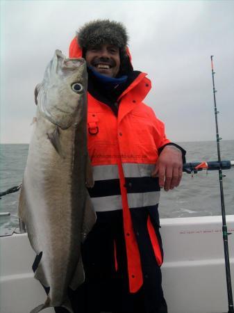 11 lb Pollock by Paul Nadin