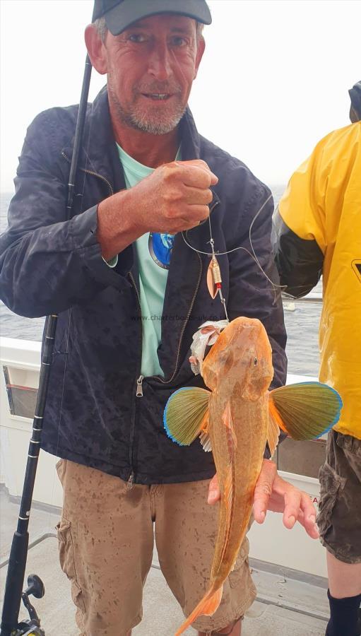 3 lb Tub Gurnard by Richard