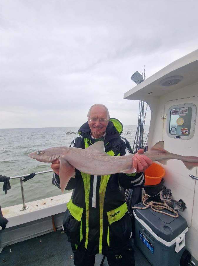 7 lb Smooth-hound (Common) by Mick