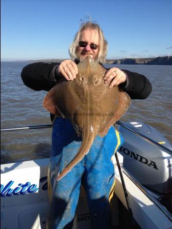 8 lb Small-Eyed Ray by Dave the Skipper (caught Penarth WW)