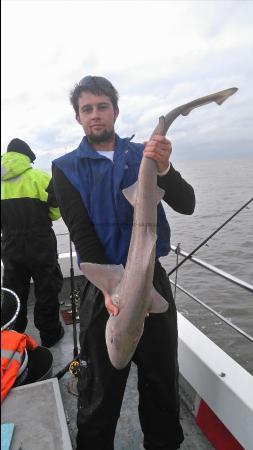 13 lb Smooth-hound (Common) by Unknown