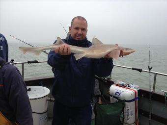 5 lb Smooth-hound by Mr C's gang