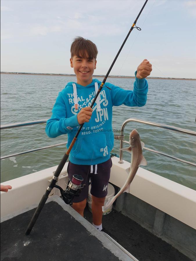 3 lb Starry Smooth-hound by Bob Marshall