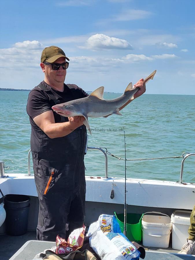 8 lb Smooth-hound by Darren