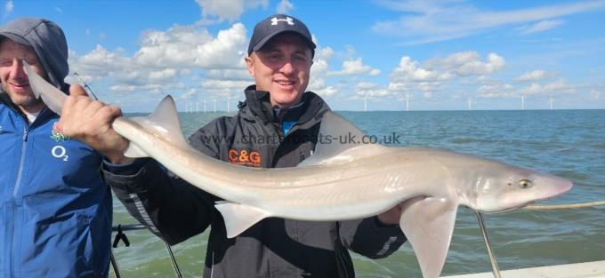 11 lb 8 oz Smooth-hound (Common) by Roger