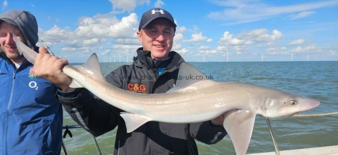 11 lb 8 oz Smooth-hound by Roger