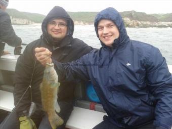 2 lb 4 oz Ballan Wrasse by Alan