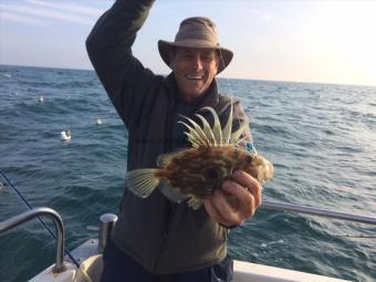 1 lb John Dory by Harry