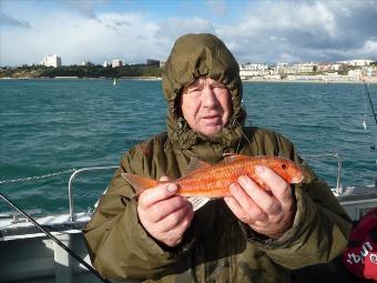 1 lb Red Mullet by Keith Trim