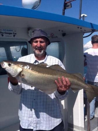 14 lb 12 oz Pollock by Vernon Allen