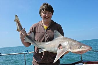 22 lb 12 oz Starry Smooth-hound by Matt