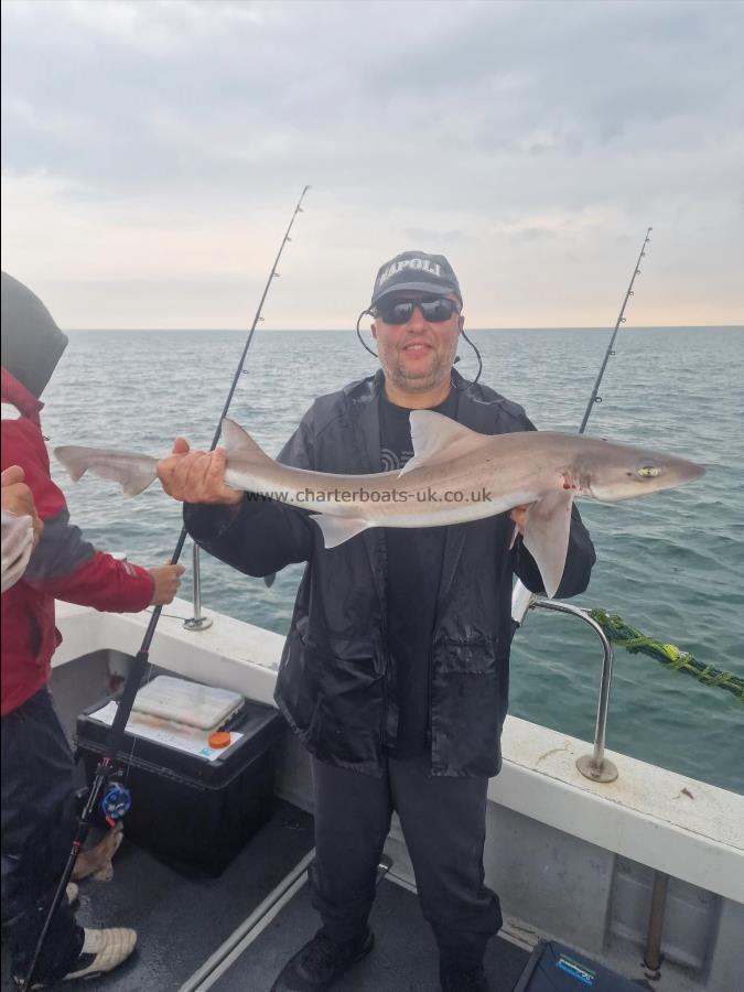 8 lb Smooth-hound (Common) by Mr g