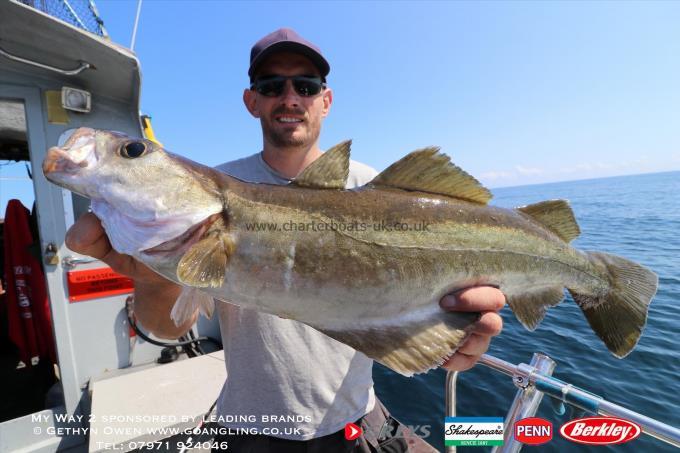 6 lb Pollock by Mark