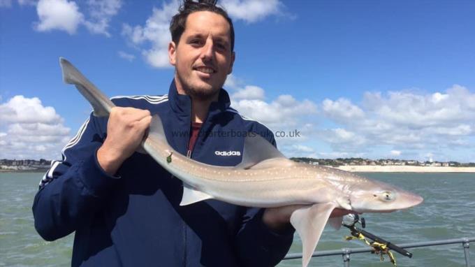 6 lb Smooth-hound (Common) by Unknown