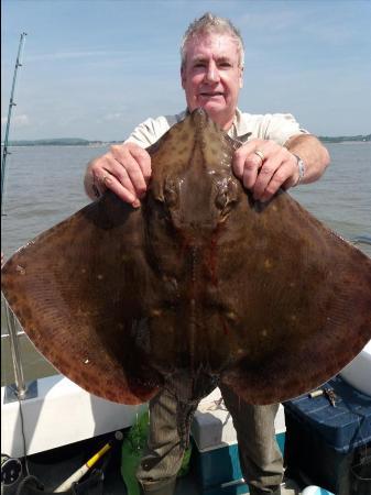 14 lb Blonde Ray by John