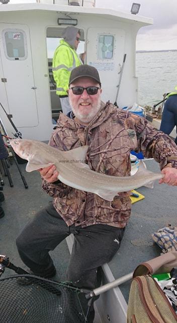 8 lb 11 oz Smooth-hound (Common) by Dennis