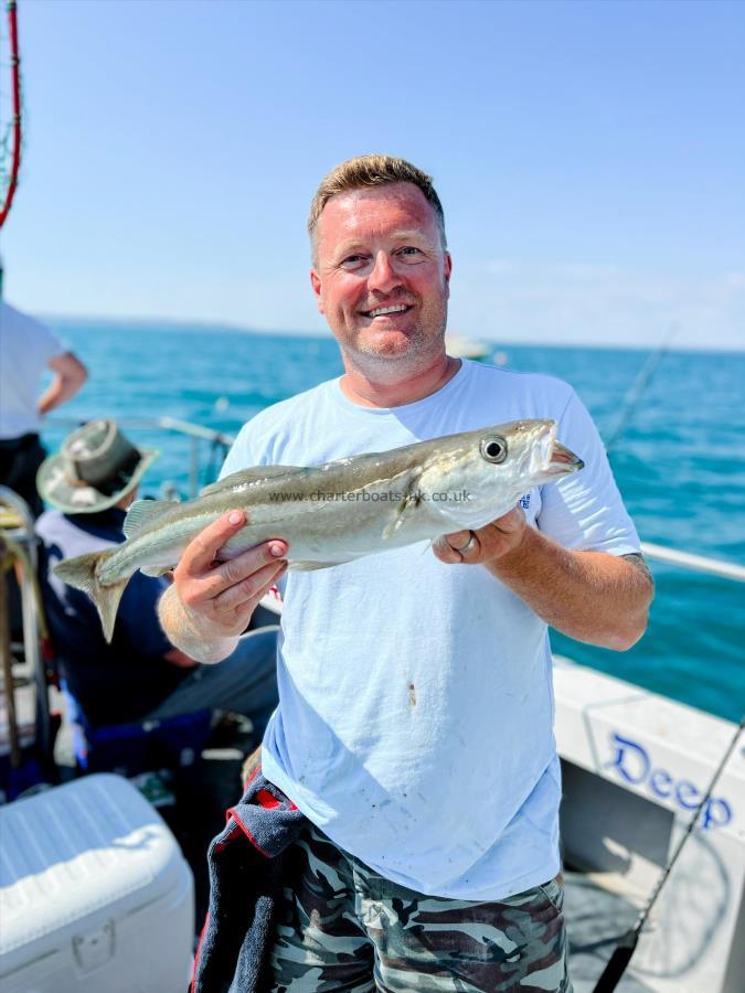 4 lb Pollock by The Skipper