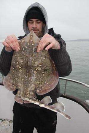 8 lb Thornback Ray by Ricky