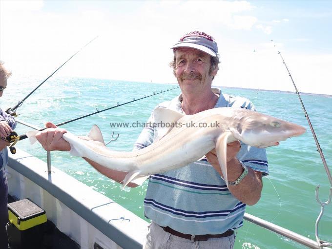 9 lb 3 oz Starry Smooth-hound by Phil from Herne bay