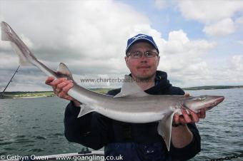 11 lb Starry Smooth-hound by Billy