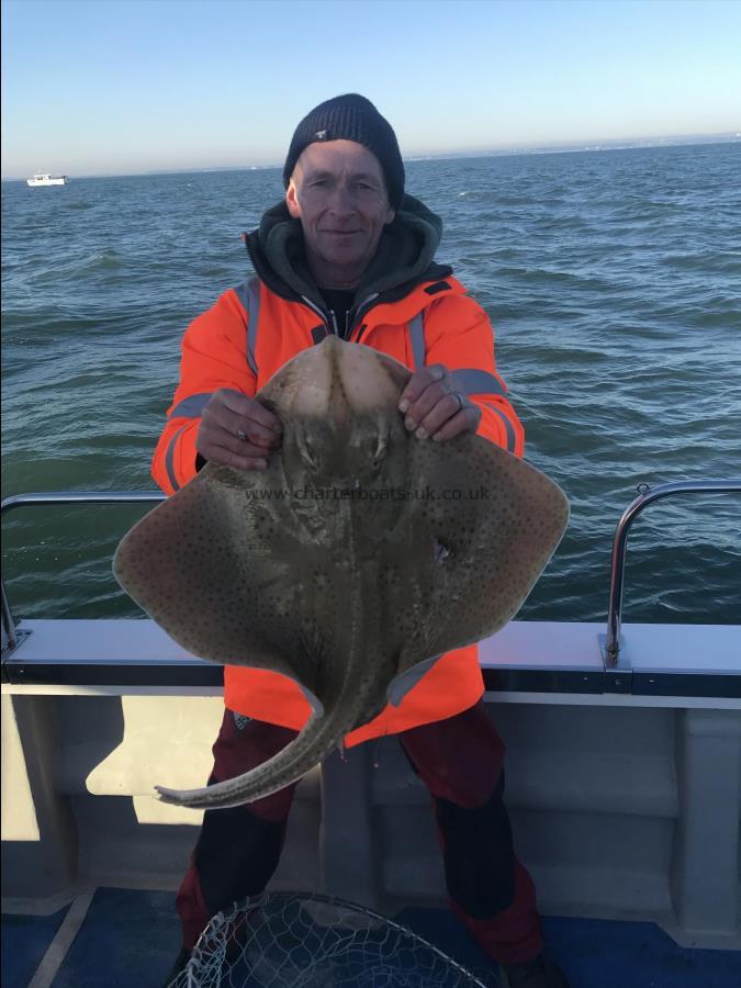 15 lb Blonde Ray by Jason 2nd ray