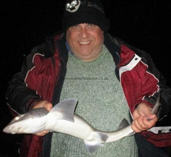 4 lb Smooth-hound by Niel