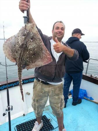 9 lb Thornback Ray by Unknown