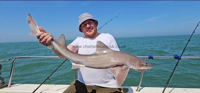 12 lb 2 oz Smooth-hound by Dave