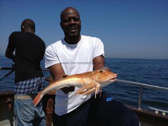 3 lb 8 oz Tub Gurnard by Rob's homies