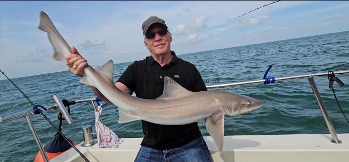 14 lb Smooth-hound by Paul