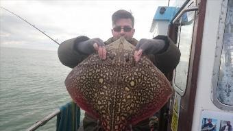 14 lb 2 oz Thornback Ray by jo from Kent