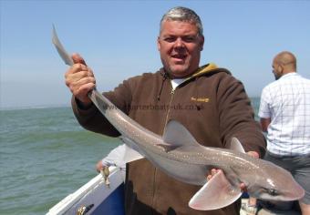 10 lb Smooth-hound (Common) by Dan Wilson