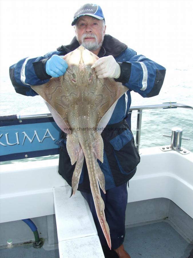 9 lb Undulate Ray by Ian Youngs