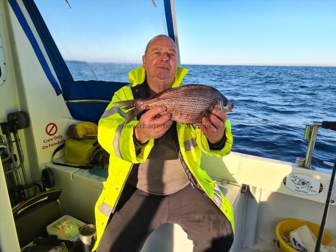 4 lb Black Sea Bream by Mike C