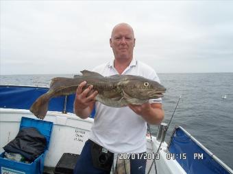 13 lb 8 oz Cod by Kevin from sunderland,