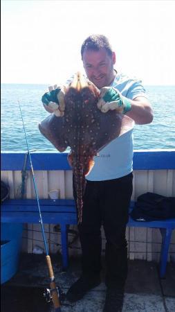 5 lb Thornback Ray by Unknown