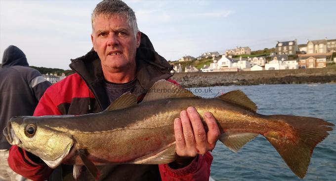 8 lb Pollock by phil