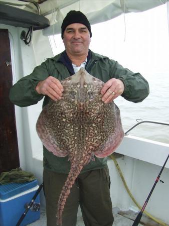 15 lb 4 oz Thornback Ray by paul