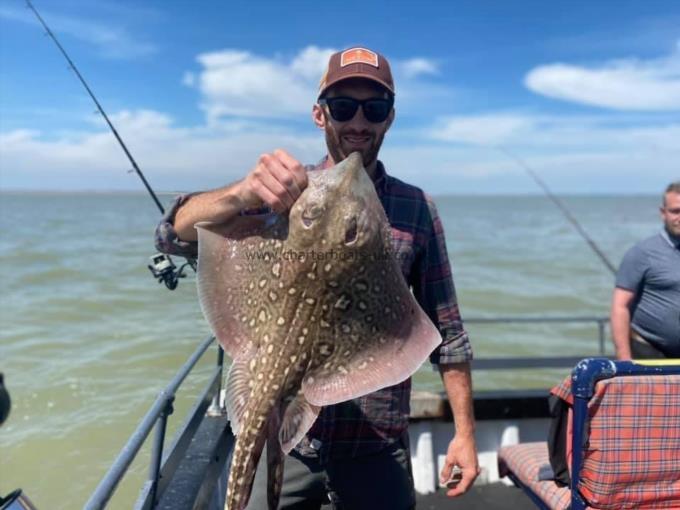 8 lb Thornback Ray by Unknown