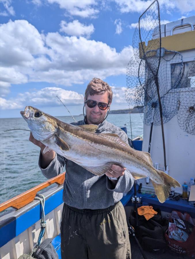7 lb 12 oz Pollock by Unknown