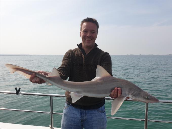 7 lb 8 oz Smooth-hound by Bob Marshall