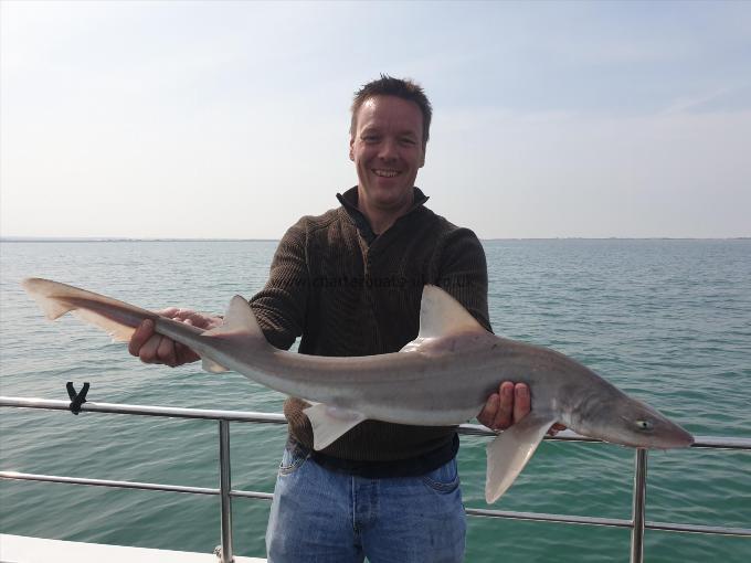 7 lb 8 oz Smooth-hound (Common) by Bob Marshall