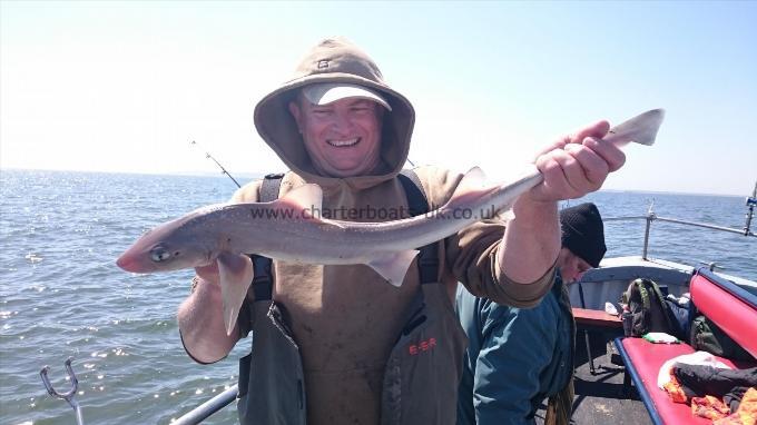 4 lb 6 oz Starry Smooth-hound by Ian from London