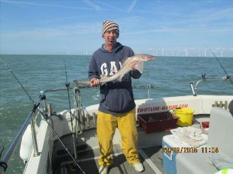 4 lb 6 oz Smooth-hound (Common) by roger berry